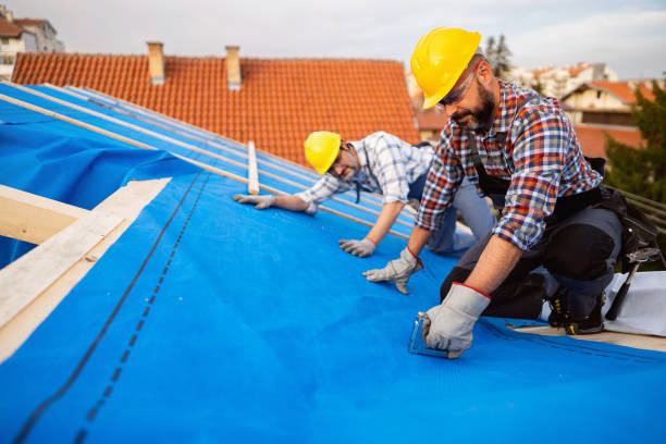 Best Roof Ventilation Installation  in Muscoy, CA